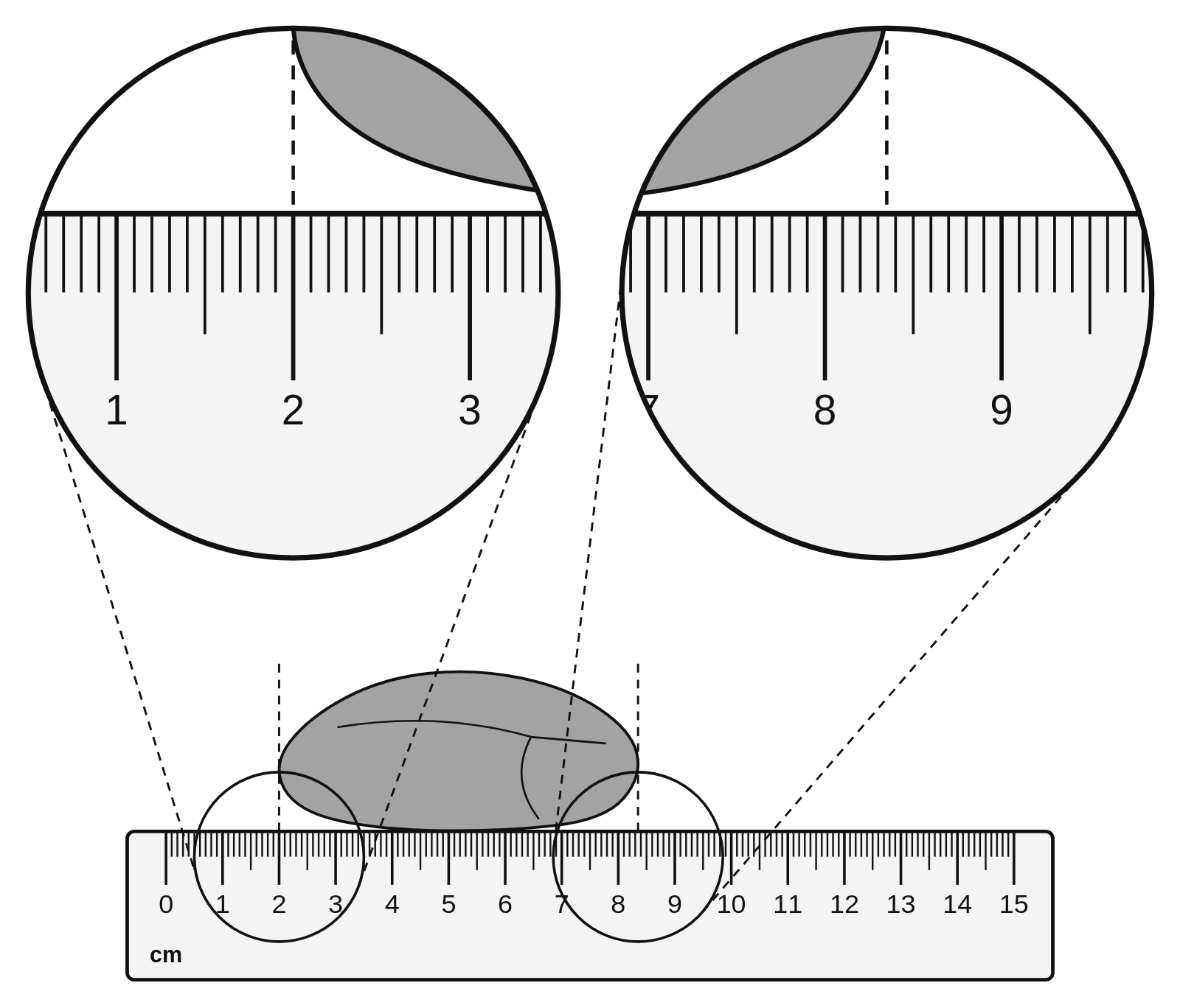 A 15 cm ruler with a rock lying along it from 2.00 cm to 8.35 cm, with magnified views of both ends